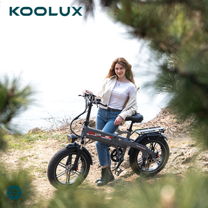 Stock local UE KOOLUX RK10 750W Vélo électrique Charge maximale 120 kg Expédition rapide Vélo électrique - Product Image 1
