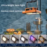 Projecteur portable à LED solaire rechargeable avec batterie au lithium, IP66, 6000K, lumière du jour, lumière d'urgence domestique, lumière de marché nocturne pour le camping
