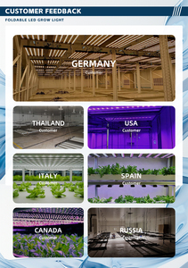 Lámpara de Cultivo LED <span class=keywords><strong>Quantum</strong></span> 560 de 15 Barras, 1650W, Alta Eficiencia 2.7, 110*240cm para Cobertura de 6-8m - Product Image 6
