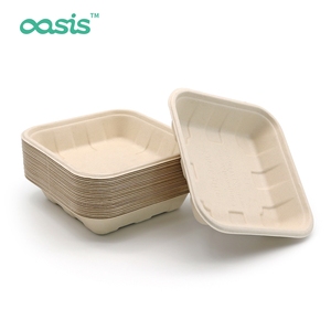Tùy chỉnh dùng một lần mía bột giấy Khay cho trái cây tươi thịt compostable phân hủy sinh học bã mía khay không thấm nước không có thêm pfas - Product Image 5