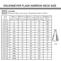 Grands verres en céramique de laboratoire, gobelets à col Large et étroit, erlenmeyer
