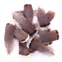 Venta al por mayor de plumas de cola de pavo naturales de 6-8 pulgadas decoraciones superventas fabricante superior chino envío rápido patrón lavado