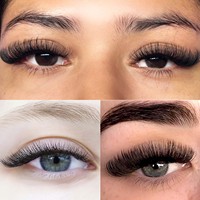 Extensions de cils en vison doux volume velours 0,15 mm faites à la main, logo personnalisé, noir mat, cachemire BC/DD/CD, plateau de cils moelleux