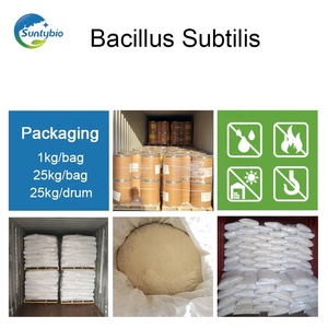 Umpan tingkat bakteri/probiotik Bacillus subtilis untuk ikan/udang kolam perawatan air - Product Image 6