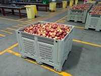 HUADING 1200*1000*810mm bon prix pliable en plastique stockage palette boîte conteneur fabricant pour l'industrie fruitière