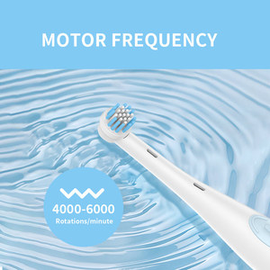 Spazzolino elettrico elettrico cordless a buon mercato usa e getta oscillante automatico spazzolino da denti - Product Image 6