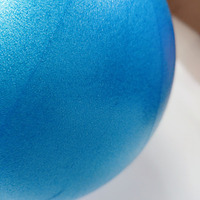 Ballon de Pilates Mini Premium Personnalisable Anti-éclatement 25cm – Solution Complète pour l'Entraînement du Plancher Pelvien et l'Appareil de Fitness Gymnastique