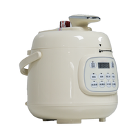 Mini autocuiseur électrique multifonction 2,5 L avec 6 fonctions pour usage domestique