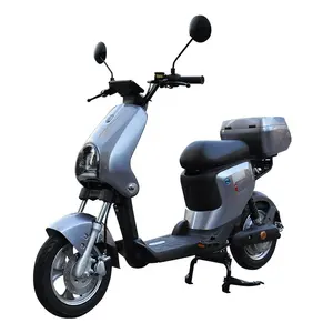 China Cabinet Electric Moped Bike With Pedals 250w For Student