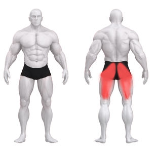 Appareil de fitness chargé sur plaque pour usage domestique et commercial - Product Image 6