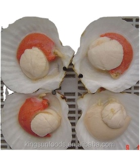 Đông lạnh biển sò nửa vỏ - Product Image 4