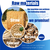 RICHI Vente à Chaud 8-10 t/h Sciure de Bois Biomasse Aiguilles de Pin Machine à Granulés