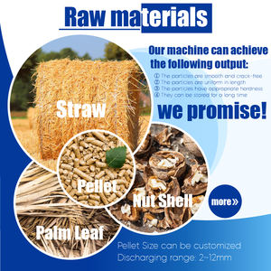 RICHI Hot Selling 8-10t/h Sägemehl Holz Biomasse Kiefern nadeln Pellet maschine - Product Image 2