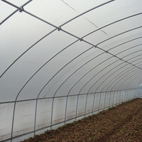 GT contrôle de température moderne fleur tomate extérieur tunnel haut serre agriculture commerciale