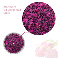 Novenzyme Bulk Rode Gefreeze-droogde Pitaya Gefreeze-droogde Drakenvrucht Schijfjes