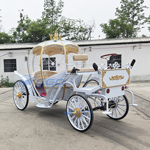 Wholesale Price Customized Princess Wedding Pumpkin Horse Carriage Wedding Pumpkin Horse Drawn Carriage Wedding for Sale - Product Image 5