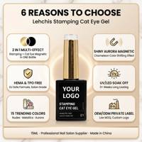 Lehchis Fournitures pour ongles en gros, logo personnalisé, marque privée, ensemble de vernis à ongles en gel 15 ml, créez votre propre marque, vernis à ongles en gel UV