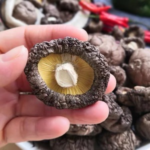 Hongos Altamente Nutritivos 2020, Crudos, Sin Aditivos, Frescos, Secos, para Almacenamiento, Certificación GAP, Color Natural, para Cocinar, Saborizantes, 1 kg, 36 Meses de Caducidad, China, Yunnan - Product Image 4
