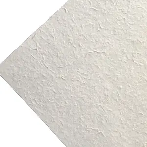 110gsm A4 carta di gelso fatta a mano biodegradabile in materiale naturale ecologico colorato bianco naturale