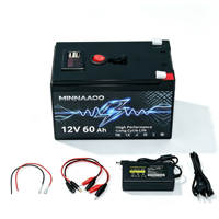 Paket Baterai Lithium LiFePO4 12V 30Ah 50Ah 60Ah 100Ah 120Ah dengan USB untuk Tenaga Surya RV Perahu Camping Monitoring UPS Cadangan Daya
