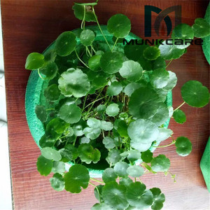 Vases en plastique EPP, densité 30, couleur rouge, personnalisables pour plantes d'intérieur - Product Image 5