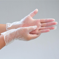 100 PCS/Boîte Gants d'examen jetables en PVC transparent de qualité alimentaire sans poudre de 9 pouces pour restaurant, usage domestique et tatouage