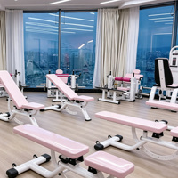 Máquina de Fitness Multifuncional de Alta Calidad para Uso Comercial, de Aleación de Hierro y Aluminio, para Moldear el Cuerpo, Ejercicios de Cadera y Smith, Modelo Flying Bird