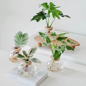 Vase <span class=keywords><strong>en</strong></span> verre borosilicate de haute qualité, résistant à la chaleur, <span class=keywords><strong>pot</strong></span> hydroponique avec couvercle <span class=keywords><strong>en</strong></span> liège pour la décoration intérieure et les cadeaux (vente <span class=keywords><strong>en</strong></span> gros) - Product Image 3