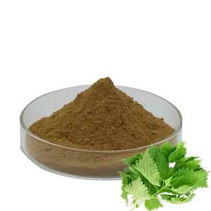 100% Factory Supply Natural 4:1 Stinging Nettle Leaf Extract Powder