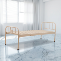 Lit médical multifonction contemporain en acier au carbone ZHONG BAI LH-MSF-05, design durable et léger, garantie de 2 ans