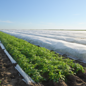 Couverture de plantes écologique anti-gel avec protection UV, résistante aux produits chimiques, extra large 36m, en PP spunbond non tissé pour usage agricole - Product Image 6