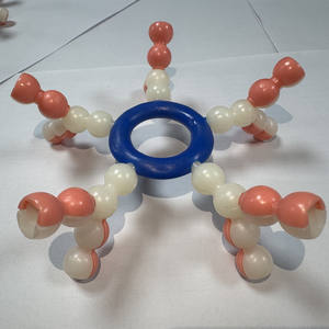 Модель для демонстрации группы крови ABO, медицинская анатомическая модель человека, учебное оборудование, модель по биологии - Product Image 2