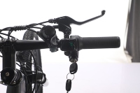 Vélo Électrique Femme 36V 400W Moteur Arrière Brushless Batterie Lithium Cadre en Acier Carbone Vélo Urbain Pliant 24/26 Pouces