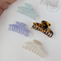 Pince à cheveux polyvalente en feuille d'acétate pour femmes avec design de niche Grand os de dragon Dos élégant Accessoire pour cheveux