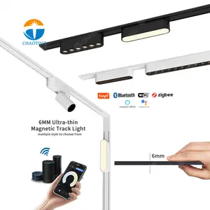 Spot à billes à 2 fils Lampe à rail linéaire 0-10V Dali Dimmable Tuya Zigbee BT Smart 24V 48V Led Magnetic Track Light System