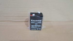 Batteria al Piombo-Acido 6V4AH 4AH <span class=keywords><strong>6</strong></span> <span class=keywords><strong>Volt</strong></span> (NP4-<span class=keywords><strong>6</strong></span>) Ricaricabile per UPS - Product Image 6