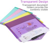 Bview Art - Carpetas de Archivo Transparentes de Plástico Tamaño A4 con Bolsillo para Etiquetas