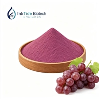 Pure natuurlijke voedingsmiddelenkwaliteit sap 99% druivenfruitpoeder