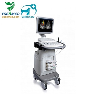 Ecógrafo Veterinario SonoScape S11V, Doppler Color 2D 3D 4D, con Carro, para Uso Médico en Animales, <span class=keywords><strong>Precio</strong></span> - Product Image 3