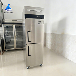 Réfrigérateur-congélateur vertical professionnel à deux portes avec panneau numérique intelligent et fonctionnalités de restauration - Product Image 2