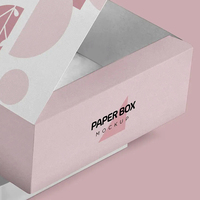 Boîte d'emballage de sous-vêtements pour femmes personnalisée boîte de papier d'avion de carte blanche matériau écologique personnalisé