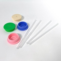 Bouteilles et Tasses en Verre Transparent de Haute Qualité pour Boissons, avec Couvercle en Silicone et Paille, Idéales pour Café, Thé et Autres Boissons – Vente en Gros