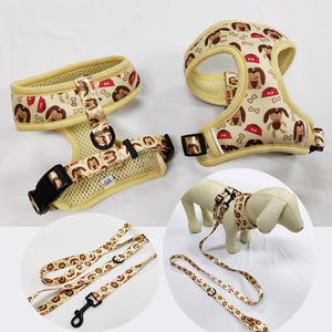 Harnais rétractable en cuir pour chien, sangle sur mesure, accessoire <span class=keywords><strong>de</strong></span> sécurité, fourrure d'entraînement, gilet <span class=keywords><strong>de</strong></span> refroidissement, ceintures <span class=keywords><strong>de</strong></span> siège - Product Image 1