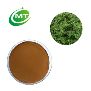 Fornecimento de fábrica 10;1 Verbena Officinalis Extract/ Herba Verbenae Pó do Extrato com amostra grátis