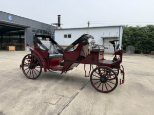 Carrozza Reale Elettrica Nera e Oro a Basso Prezzo, Prodotta in Acciaio da Fabbricante di Carrozze Reali - Product Image 5