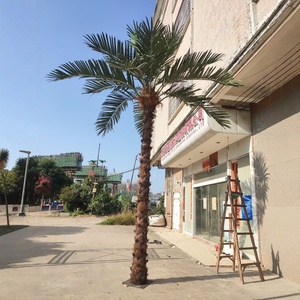 Lớn Ngoài Trời Vườn Cảnh Quan Cây Sống Vật Liệu UV Top Ngoài Trời Kỹ Thuật Của Công Ty Nhân Tạo Mô Phỏng Cây Cọ - Product Image 4