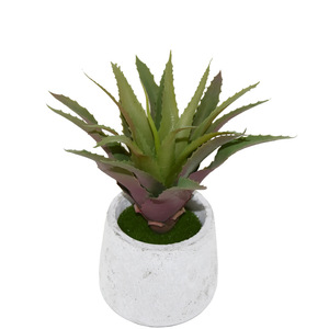 <span class=keywords><strong>Planta</strong></span> suculenta <span class=keywords><strong>grande</strong></span> artificial <span class=keywords><strong>aloe</strong></span> <span class=keywords><strong>vera</strong></span> en maceta hojas falsas - Product Image 5