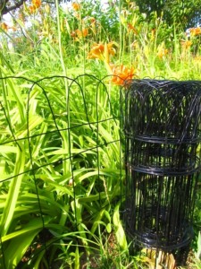 Roll Top PVC-Coated Wire Garden Lawn <b>Border</b> <b>Edging</b> Fencing Iron and Wood Frame with Trellis Fence Posts for Rail - Product Image 6