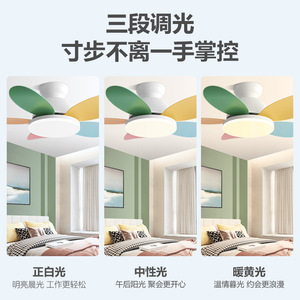 Ceiling Fan Light With Led Light Fixed Blade For Bedroom Study 10-15 Sqm 5 Year Warranty - Product Image 5