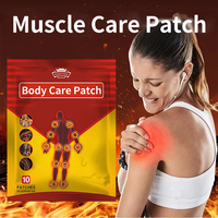 Patch antidouleur pour le corps, patch pour les douleurs lombaires, patch pour les douleurs musculaires et articulaires, fabrication OEM, fourniture directe usine